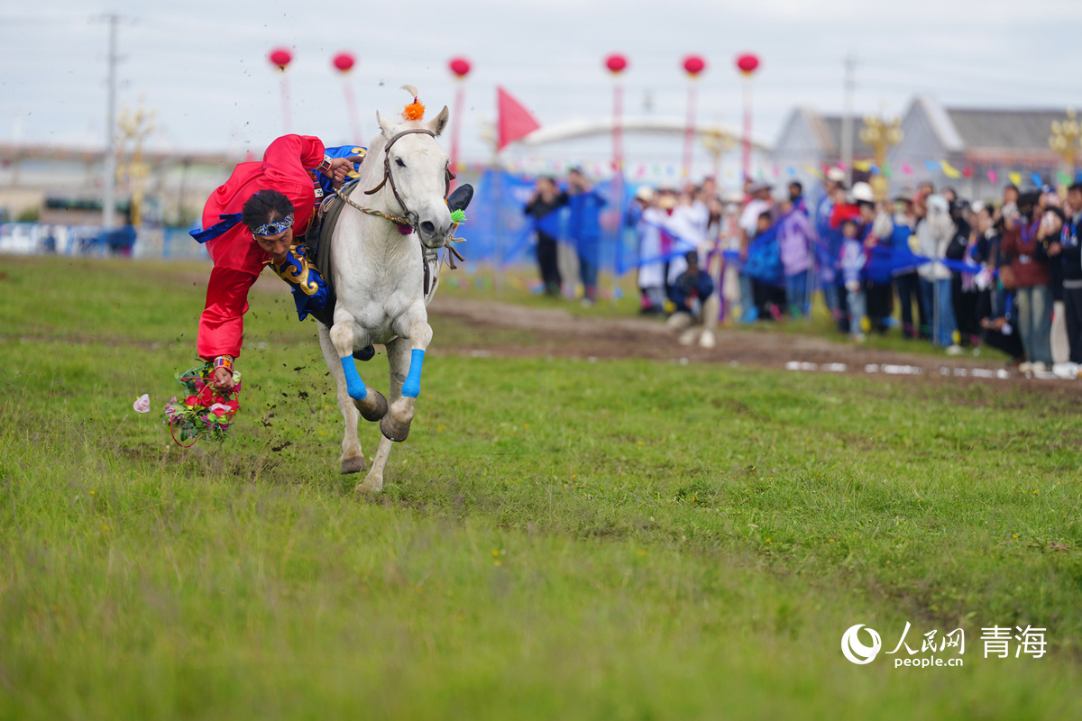 entit, 米项目比赛 entit, 米项目比赛