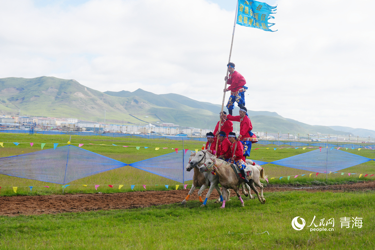 马术表演, 逐速度赛马 马术表演, 逐速度赛马