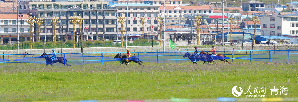 tenan, 马术表演, 海省黄南藏 tenan, 马术表演, 海省黄南藏