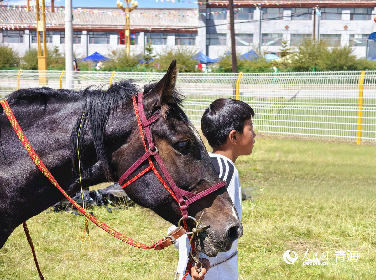 米项目比赛 米项目比赛